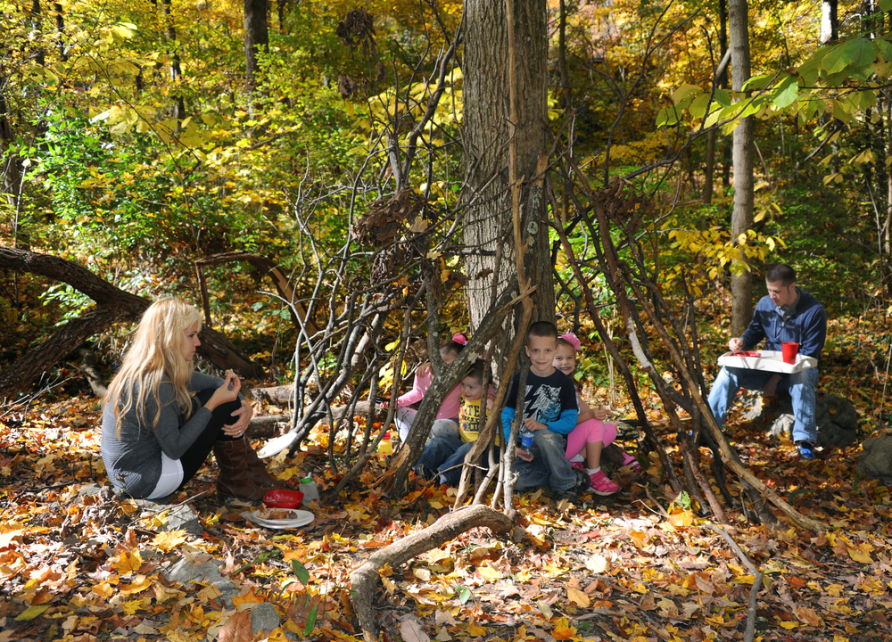 Ausflüge im Frühling: kreative Ideen für den Kita-Alltag | Pro Kita Portal