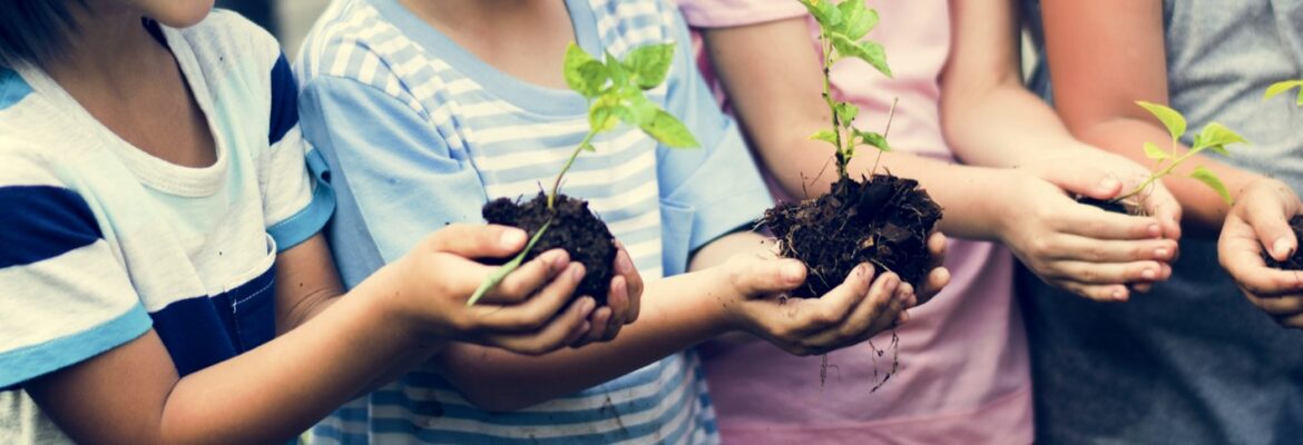 Kinder halten pflanzlinge in der Hand, Ökologische Bildung Kita, Ziele der ökologischen Bildung, Natur in der Kita
